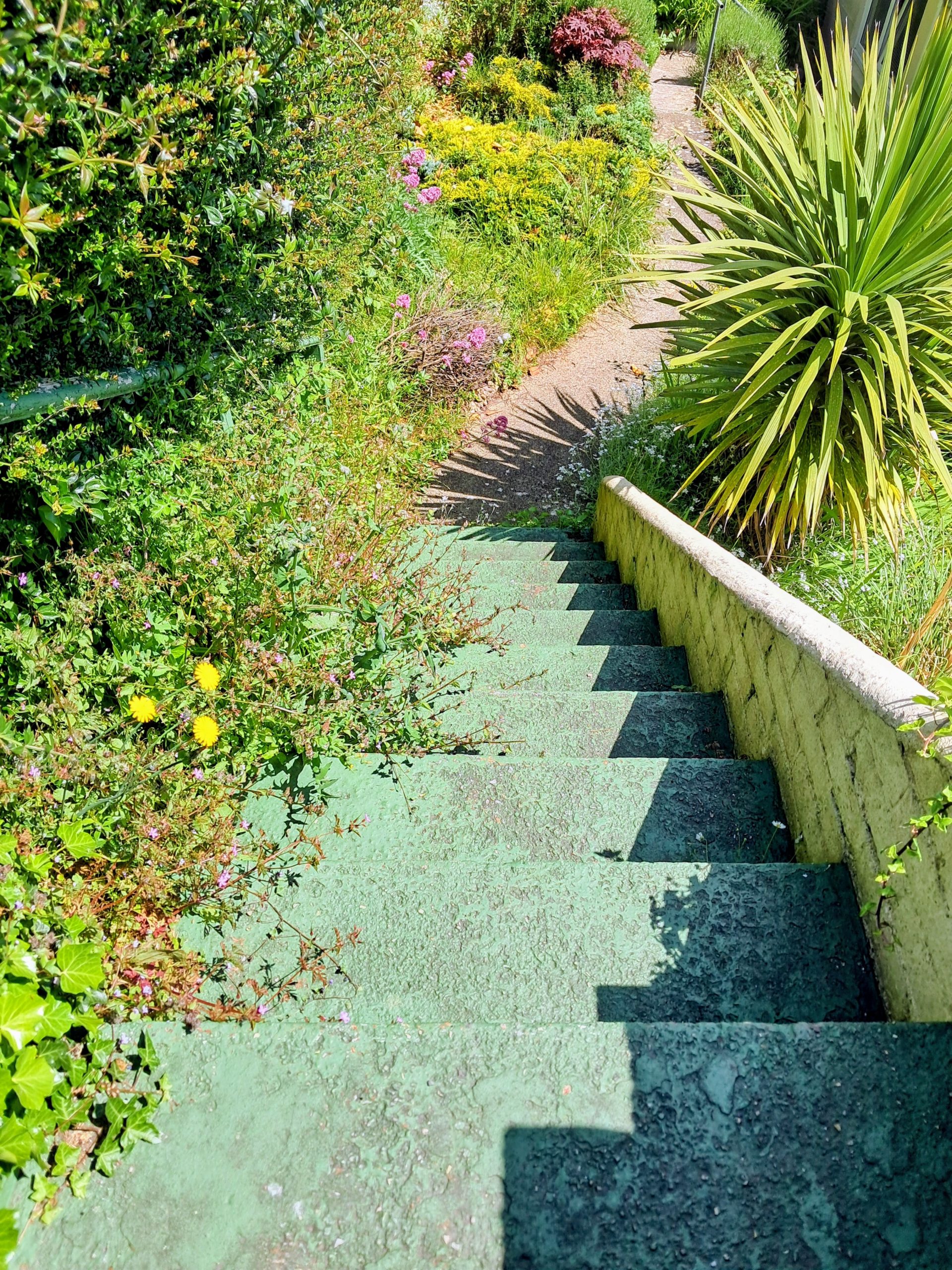 741c29c0-7672-431b-9f2e-0749ded7e5cc~1